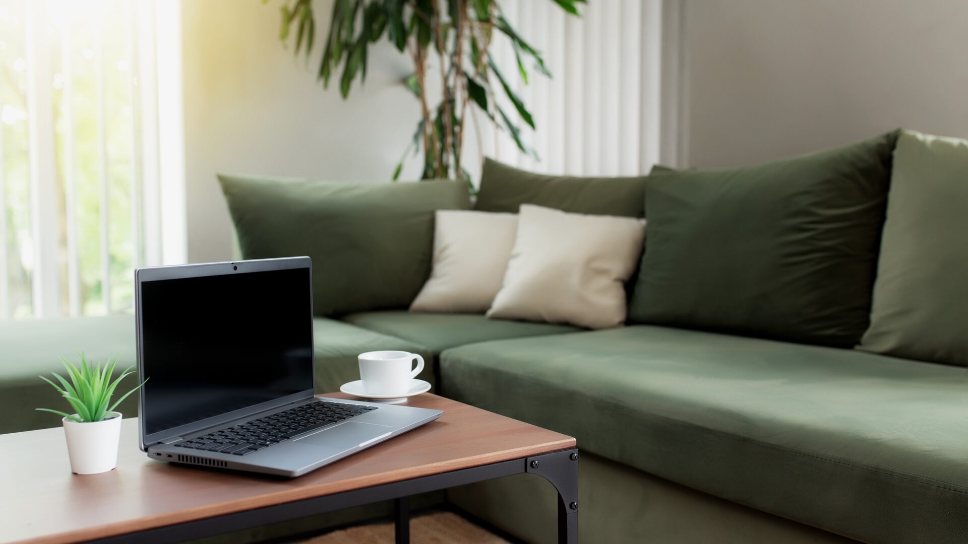 A relaxed United Stay lounge area with a green sofa and coffee table